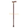 Walking Stick (Silver, Brown)